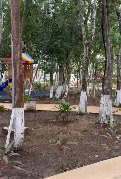 Lizard Apartment 普拉亚卡门
