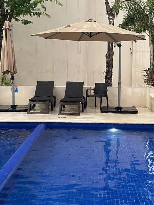 Lizard Apartment Playa del Carmen Mexico